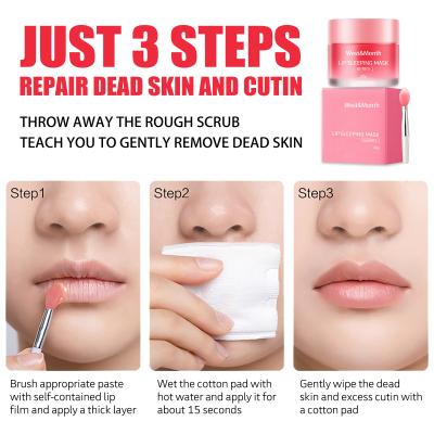 Hydrating 20g Lip Sleeping Mask for Moisturizing, Nourishing, and Lip Line Care